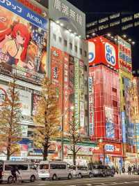 ⚡ Akihabara Summer Survival Itinerary**   *"Where tech, anime, and AC collide