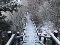 야간 산행 지리산