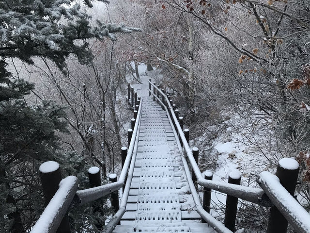 야간 산행 지리산