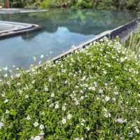 🏞️☕ Anawa Krabi – ที่พักกลางธรรมชาติ 