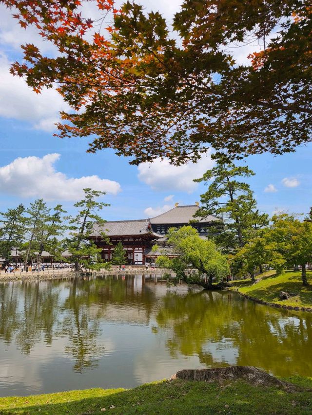 Nara park - must visit place in Japan