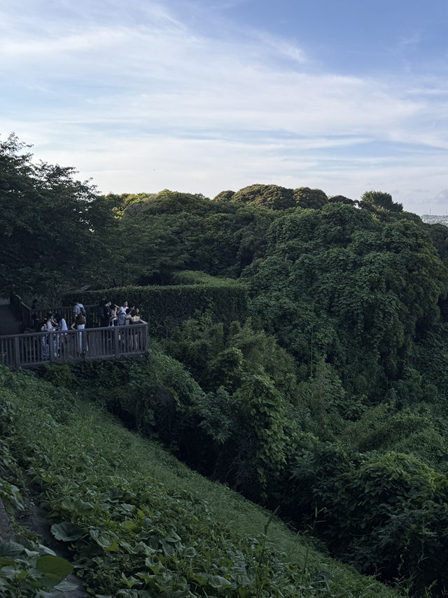 帰り道こそ感動の連続✨江ノ島頂上からの絶景下り道トリップ🌊🌇