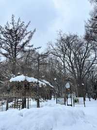走進北國神域！北海道神宮四季皆美，冬雪中的參拜體驗絕對神聖又浪漫⛩️❄️🌸 