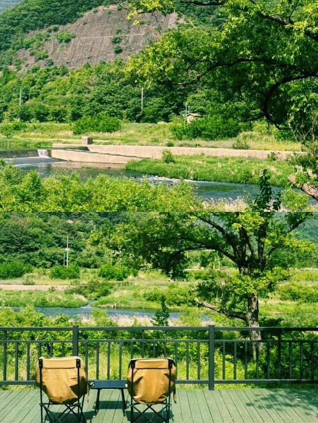 밀양·청도 녹천카페 후기 – 숲과 저수지, 힐링 그 자체