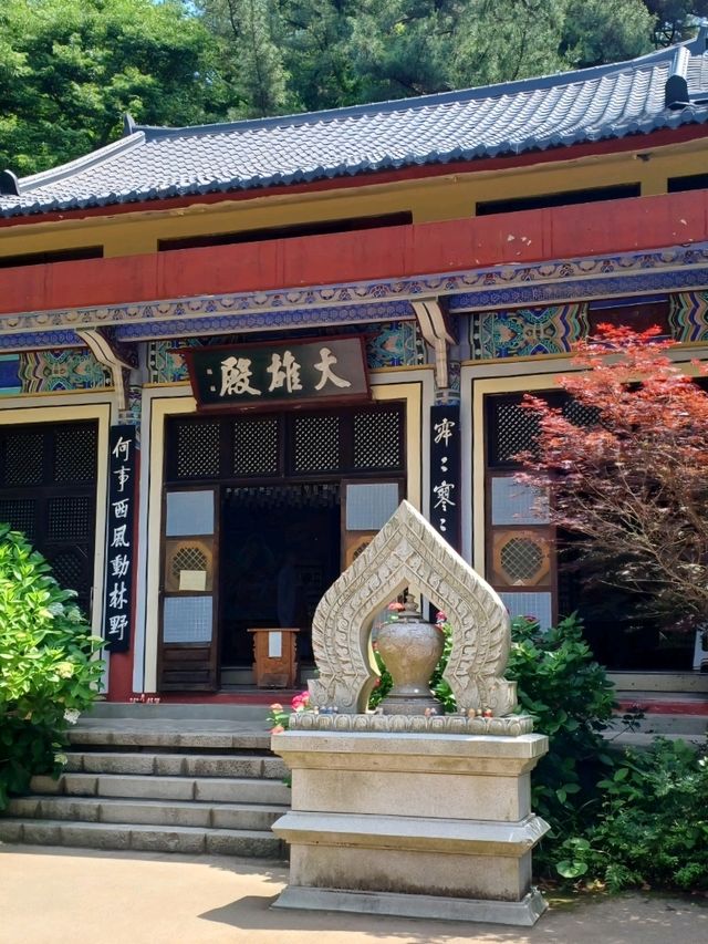 푸른 바다와 꽃길이 만나는 고요한 사찰
