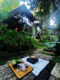 🍃 นอนริมลำธารกันมั้ย? ที่ Bee Forest แม่ออน 🌿