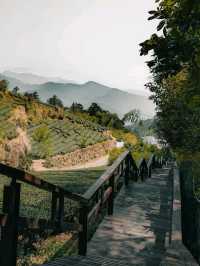 Shizhuo Homestay