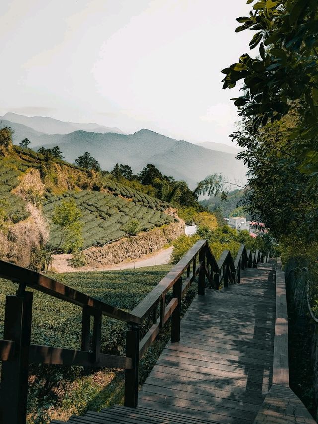 Shizhuo Homestay
