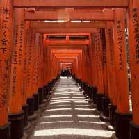 🕊️ Byōdō-in Summer Survival Guide