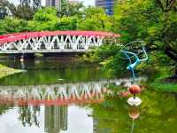 พักก่อน ในCentral Park🌳