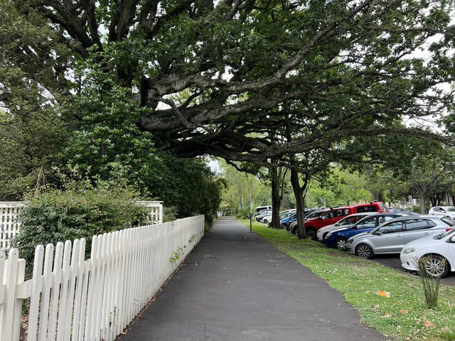 University of Auckland｜紐西蘭排名第一的學府 