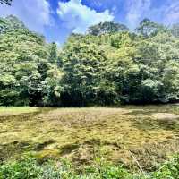 石龜坑山古道巡禮