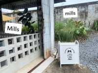 ☕️ ร้าน Mills 