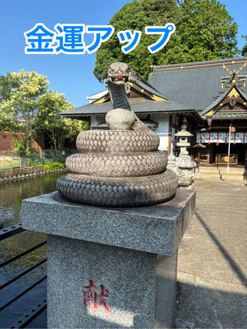 絶対金運上昇神社 白蛇辨財天 銭洗弁天 | Trip.com 真岡