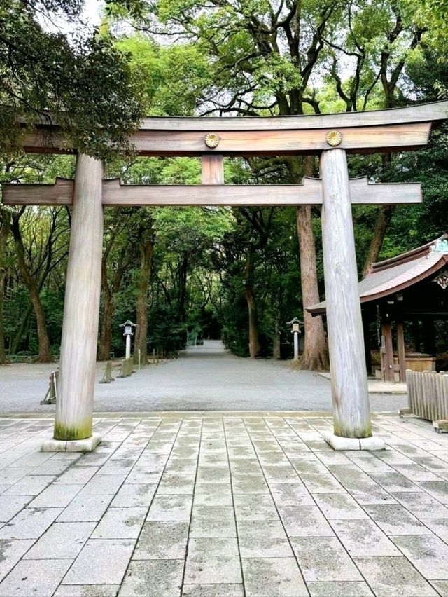 Peace in the Heart of Tokyo: Meiji Jingu Shrine