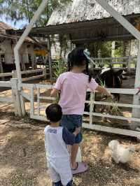 ปานขัวญ แดรี่ฟาร์ม 