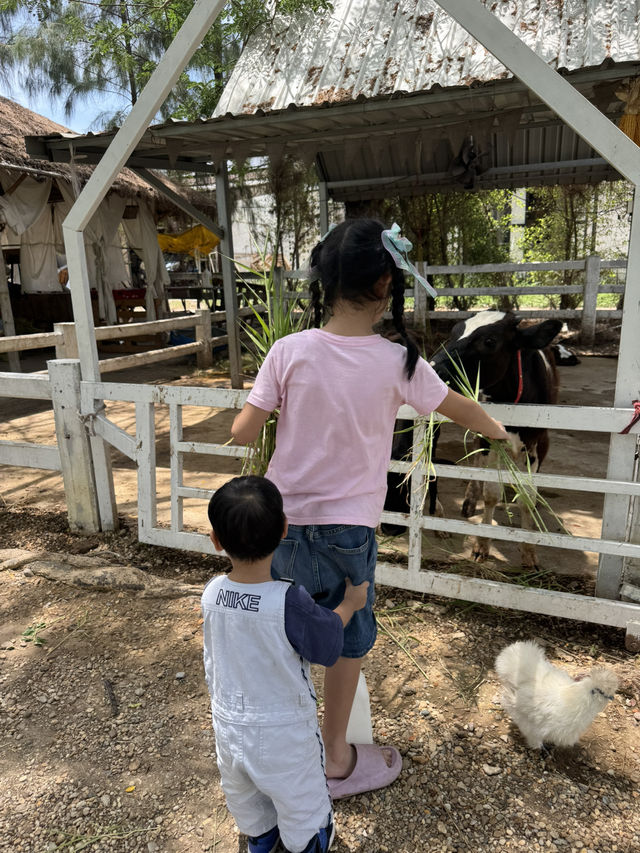 ปานขัวญ แดรี่ฟาร์ม 