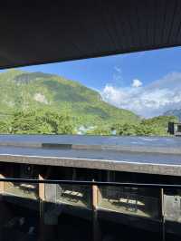 Checkmate & Chill: A Wholesome Escape at The Funny Lion El Nido 🦁♟️