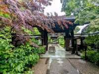 京都 | 梨木神社，開滿幸運草和名水的靜謐神社