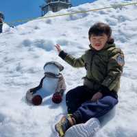 Sky High Thrills: A Day at Mount Titlis