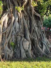 Temple Thailand
