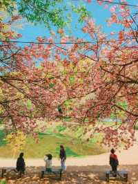 Flower Park at Munsu Temple