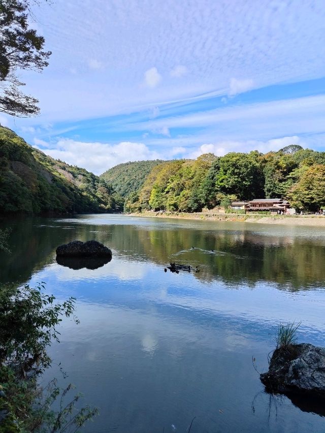 Morning in Arashiyama: A River, A Bridge, and Ten Ways to Taste Tofu