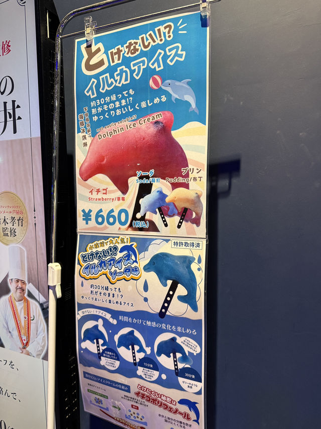 沖繩最新商場水族館🫶🏻DMM🫡超岩親子遊