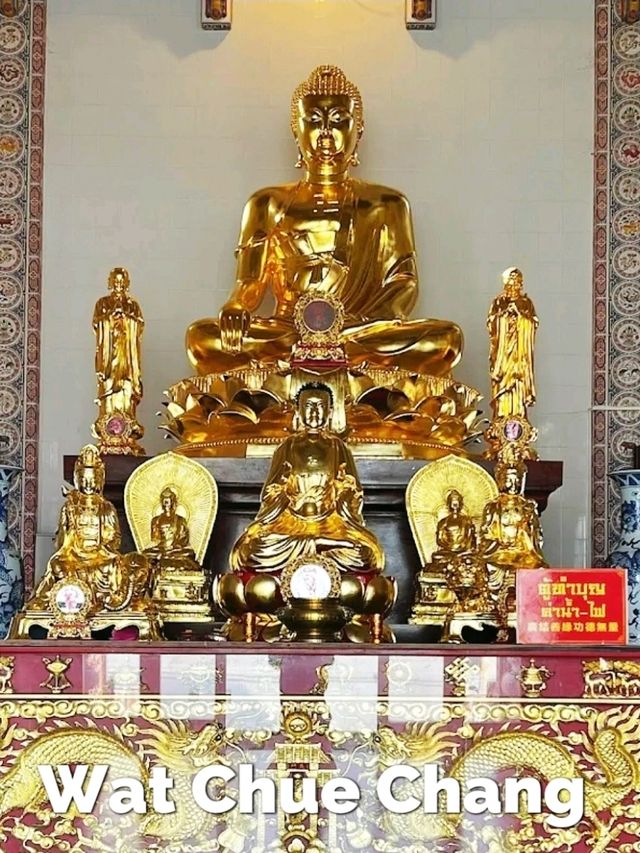 วัดฉื่อฉาง เป็นวัดจีนที่ตั้งอยู่ใจกลางเมืองหาดใหญ่