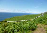 花の浮島　夏の礼文をトレッキング