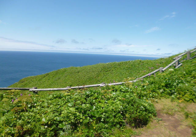 花の浮島　夏の礼文をトレッキング