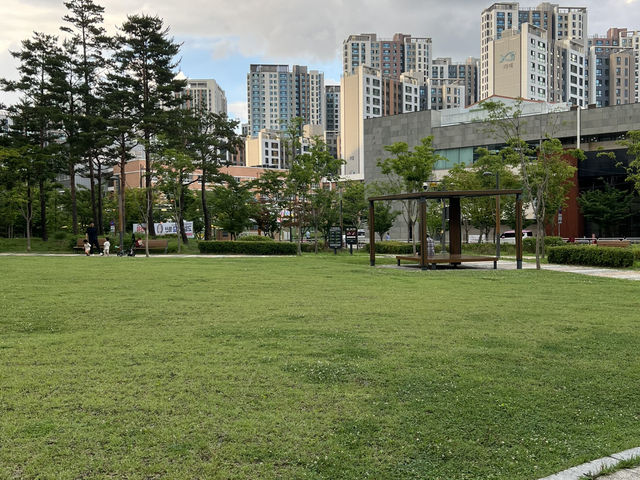 수풀공원의 꽃들