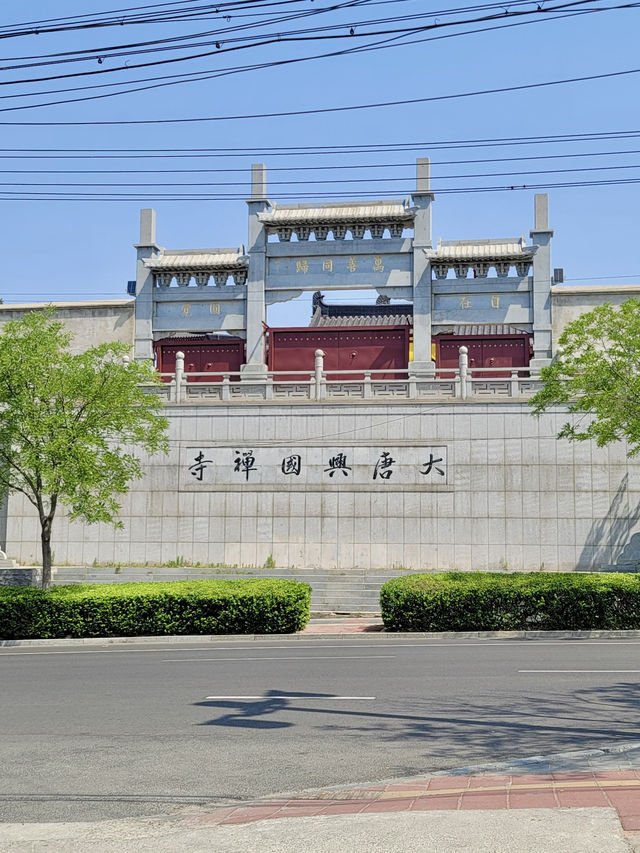 🏯唐대 건축미 그대로! 당산 大唐兴国禅寺 산책기✨