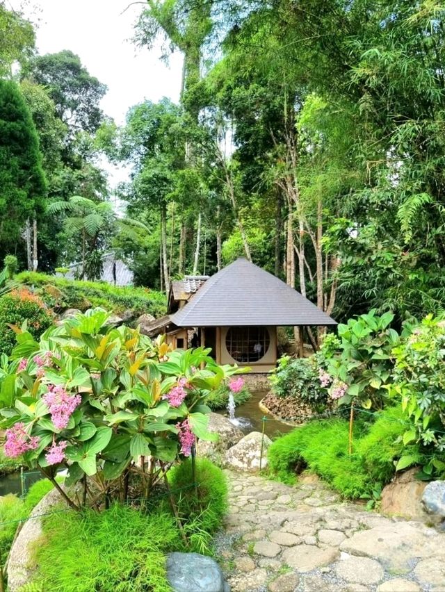A Touch of Japan in Bukit Tinggi Malaysia