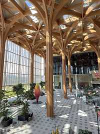 Why Geneo Might Be the Most Beautiful Mall in the West