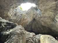 Adventures and animal spotting in Rainforest Wild Asia