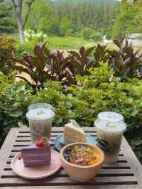 คาเฟ่เขาใหญ่ Bucolic Khaoyai 🌳🌲🍃🪵🧺🤎