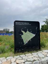 광화문 거리와 열린 송현
