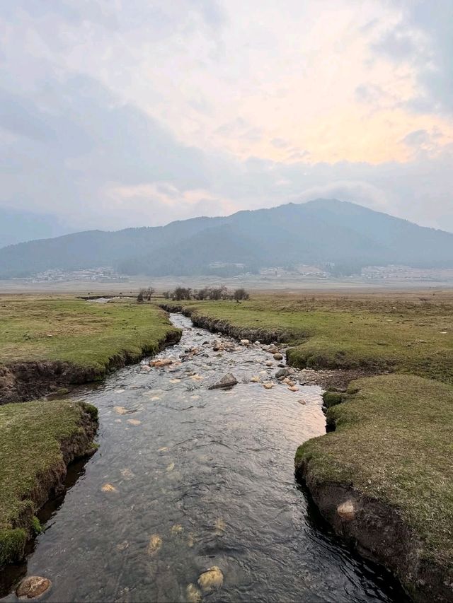 Wandering Phobjikha Valley