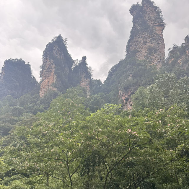 Rainy Days in Zhangjiajie