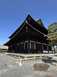🍃 Hidden Kyoto: Zen Gardens & Tree Views
