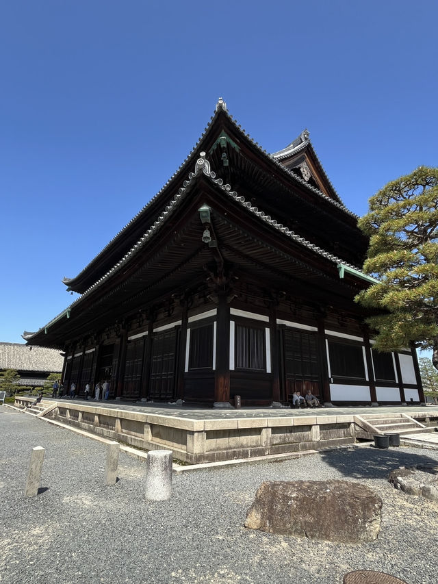🍃 Hidden Kyoto: Zen Gardens & Tree Views