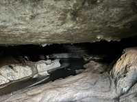 紐西蘭旅遊景點—✨ Waipu Cave｜免費看到螢火蟲的秘境洞穴 