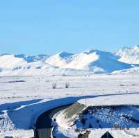 Winter Wonderland in Tekapo New Zealand!