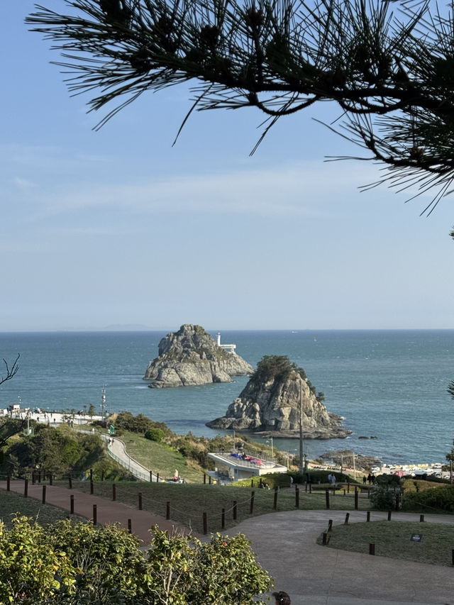 ✨ 1박 2일 부산 뿌셔뿌셔! 🌊 오션뷰&힐링&쇼핑 다 잡는 여행 코스 📍