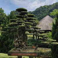 Thung Nham Bird Park (Ninh Binh)