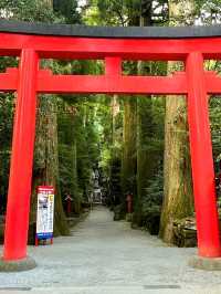 A Stunning Sight at Hakone Shrine’s Torii Gate