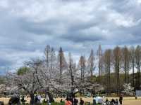 大阪市郊的親子友善景點/萬博紀念公園