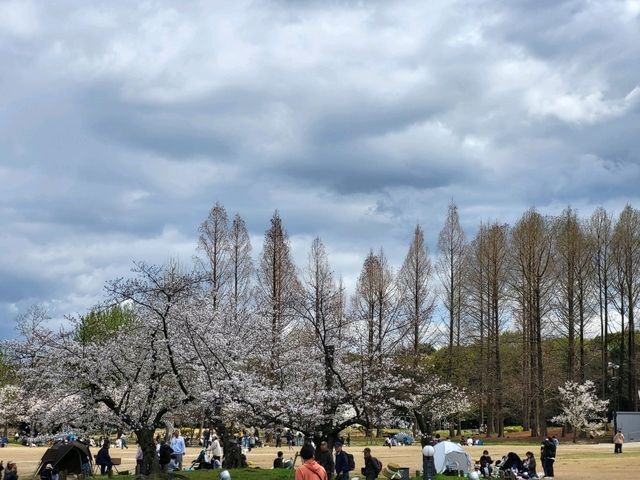大阪市郊的親子友善景點/萬博紀念公園