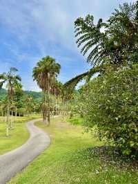 UNESCO Views from Above: Forest Skywalk at FRIM Takes You to New Heights!